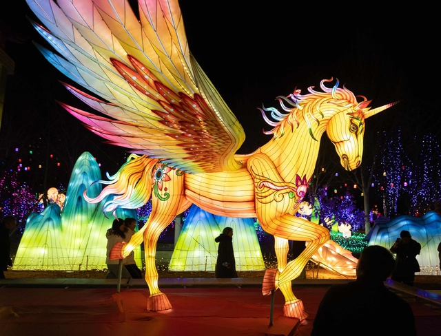 TRỰC TIẾP: Cả châu Á rộn ràng đón Tết Bính Ngọ 2026: Pháo hoa rợp trời tiễn biệt năm cũ, chào mừng một năm mới đầy hy vọng- Ảnh 12.