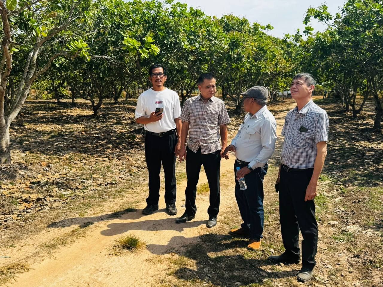 Campuchia xuất khẩu hạt điều thô 1 triệu tấn sang Việt Nam , thu 1 , 5 tỷ USD năm 2025 - Ảnh 1.