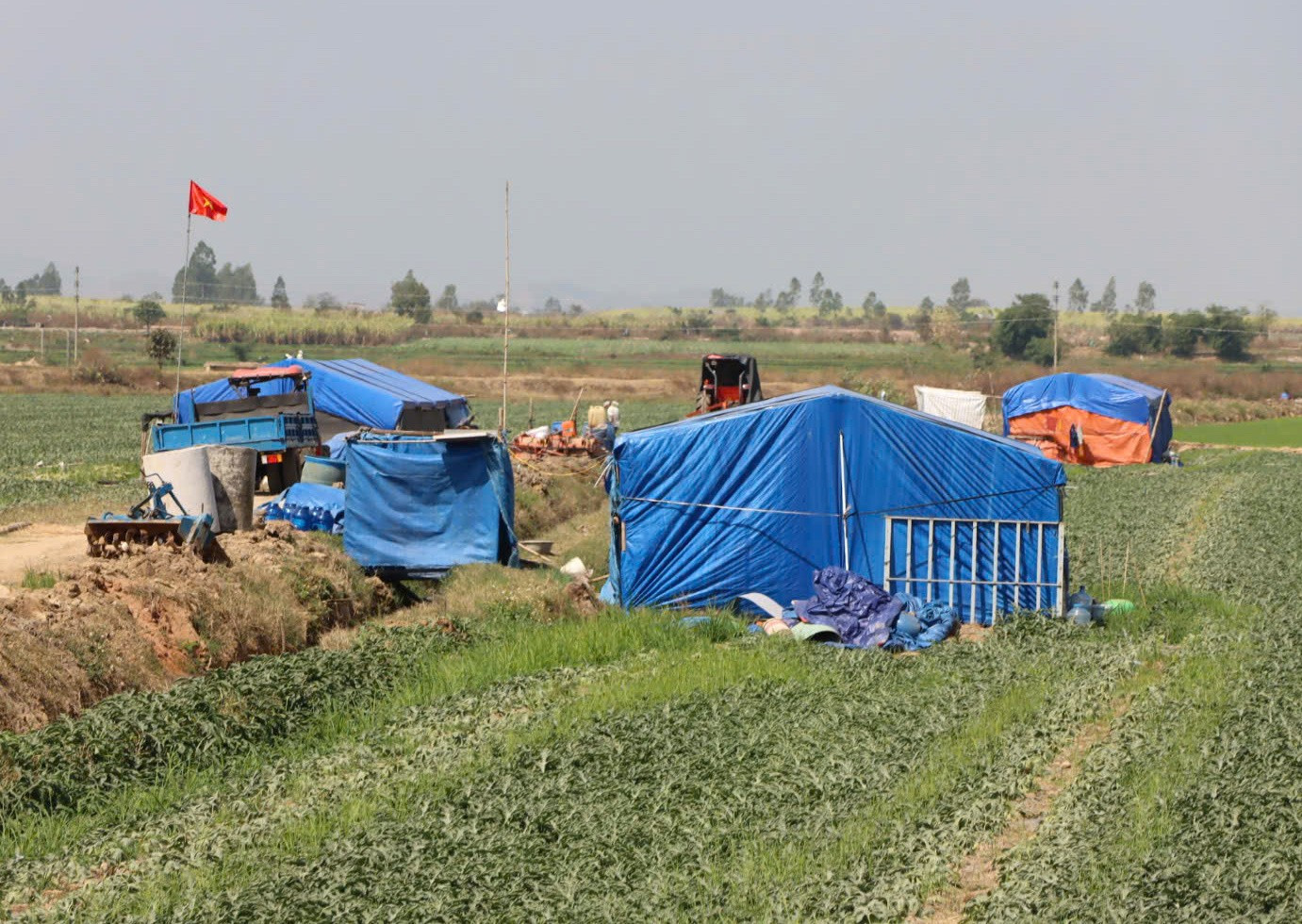 Nông dân Gia Lai đón Tết trên ruộng dưa hấu năm 2026 - Ảnh 3. Nông dân Gia Lai đón Tết trên ruộng dưa hấu năm 2026 - Ảnh 3.