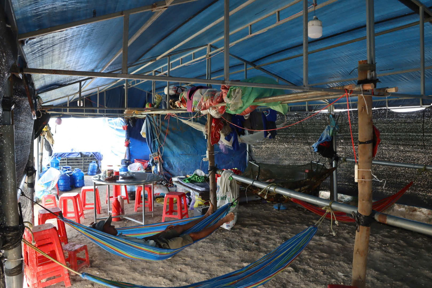 Nông dân Gia Lai đón Tết trên ruộng dưa hấu năm 2026 - Ảnh 7. Nông dân Gia Lai đón Tết trên ruộng dưa hấu năm 2026 - Ảnh 7.