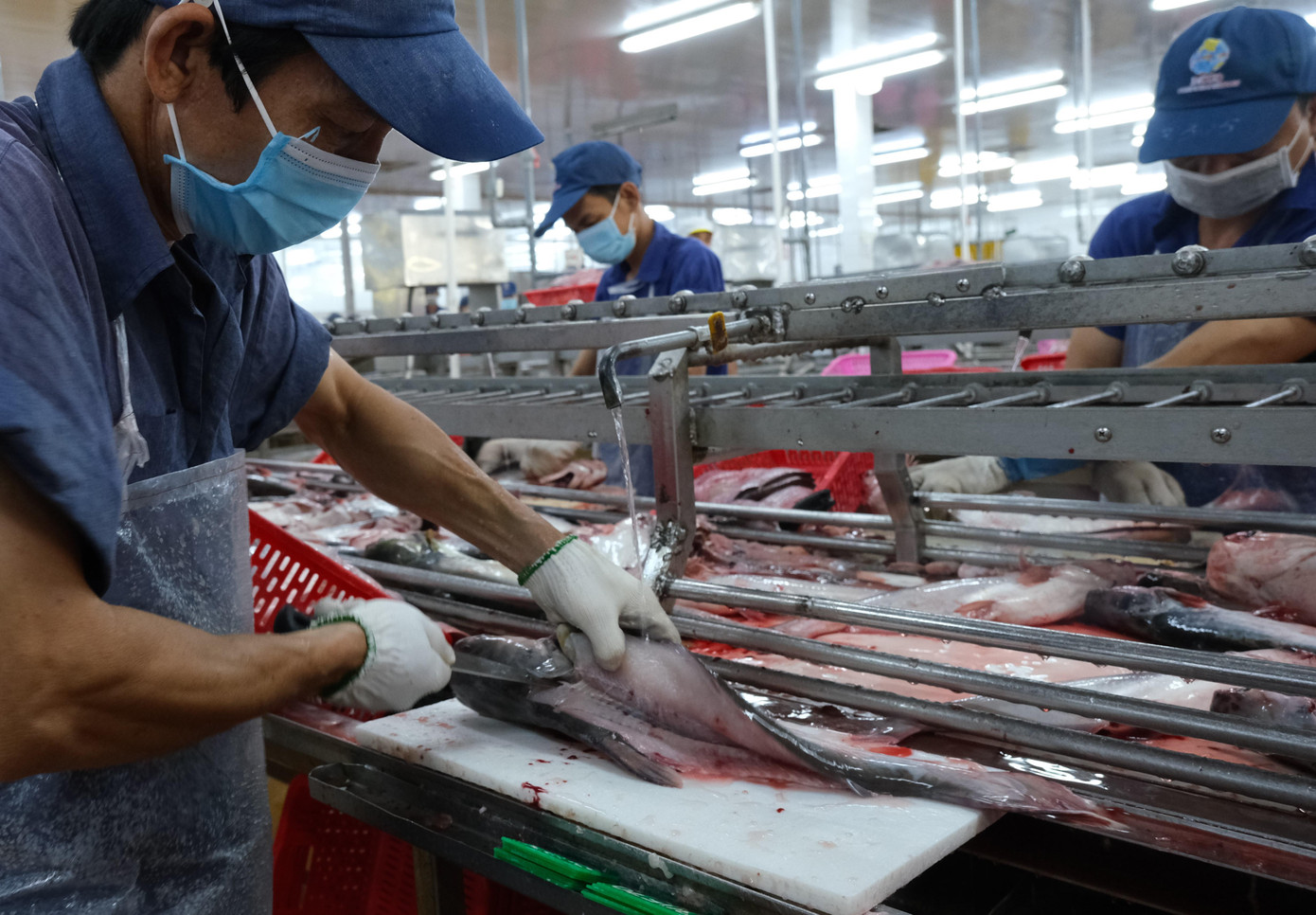 Kỷ lục xuất khẩu thủy sản 2025: Đạt 11 tỷ USD và những thách thức lớn - Ảnh 1. Kỷ lục xuất khẩu thủy sản 2025: Đạt 11 tỷ USD và những thách thức lớn - Ảnh 1.