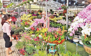 Một số loại thức uống giúp giải độc cơ thể sau Tết, nhất cái số 2 cực dễ làm - Ảnh 5.