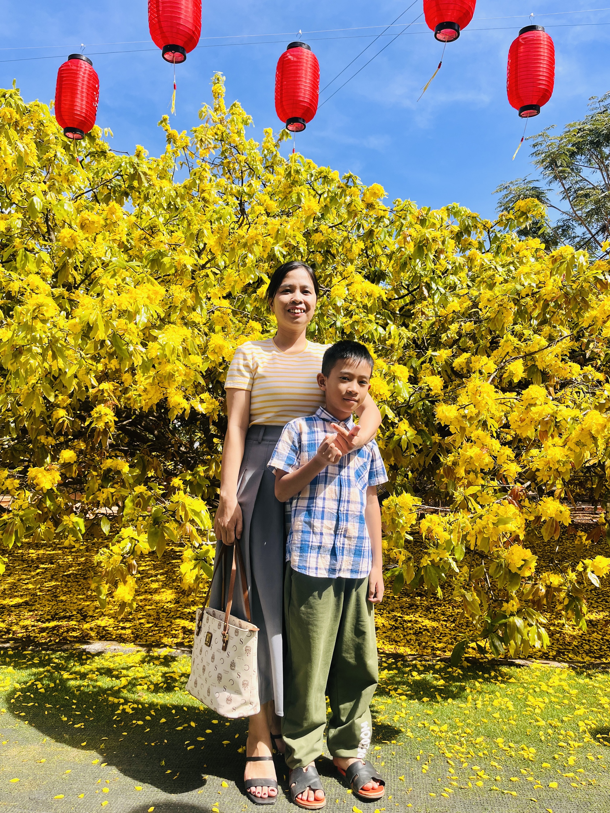 Cây mai vàng khổng lồ tại Đồng Nai nở rực rỡ ngày Tết 2026 - Ảnh 6. Cây mai vàng khổng lồ tại Đồng Nai nở rực rỡ ngày Tết 2026 - Ảnh 6.