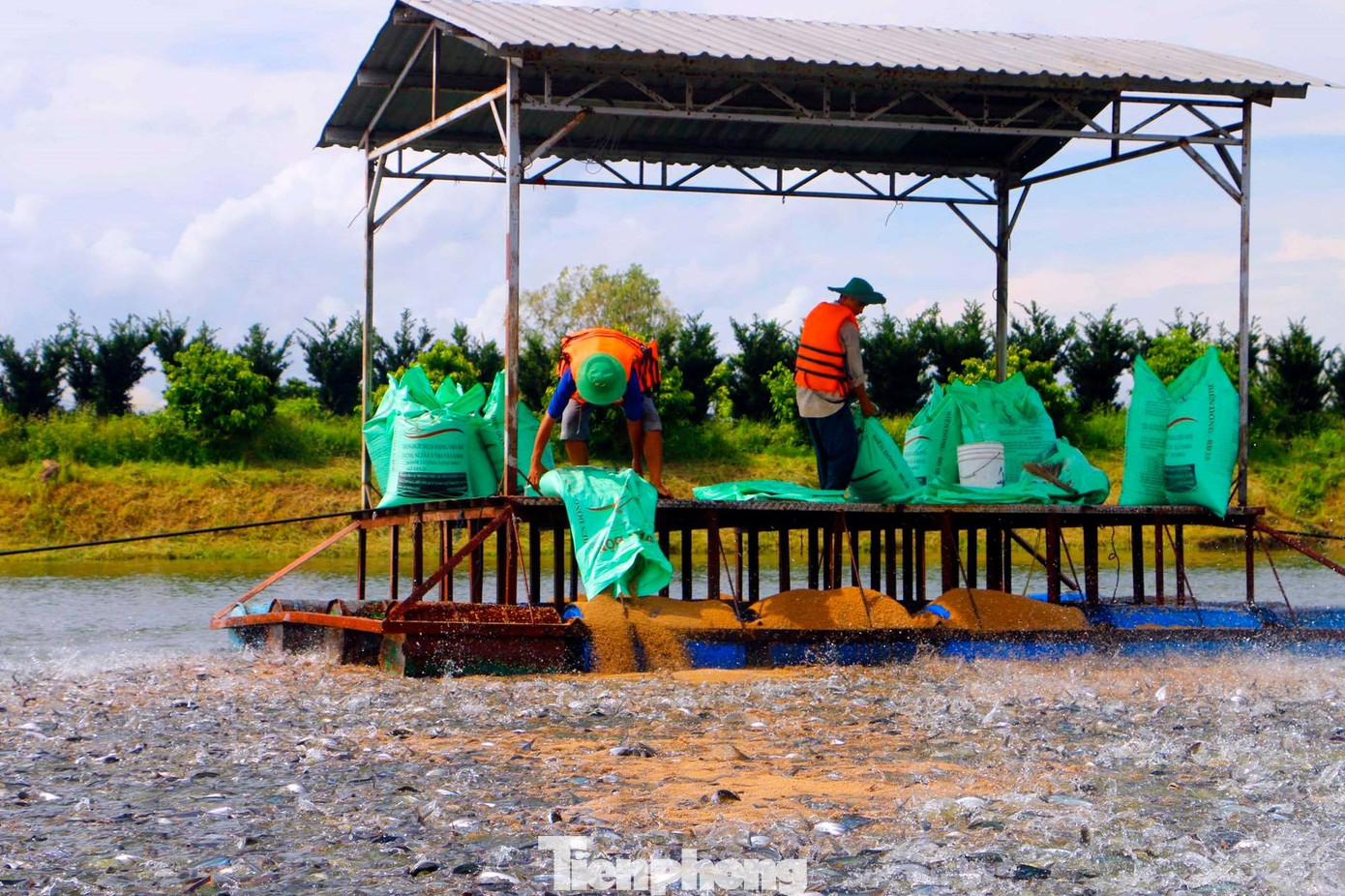 Kỷ lục xuất khẩu thủy sản 2025: Đạt 11 tỷ USD và những thách thức lớn - Ảnh 2. Kỷ lục xuất khẩu thủy sản 2025: Đạt 11 tỷ USD và những thách thức lớn - Ảnh 2.