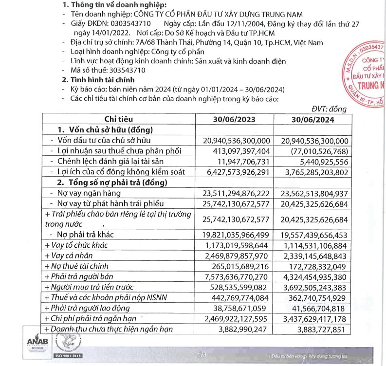 Trung Nam Group tăng vốn gấp 68 lần nhằm mở rộng năng lực Trong sản xuất điện - Ảnh 2.