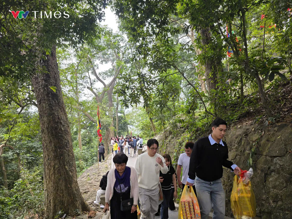 Phú Thọ: Ba vạn du khách hành hương về dâng hương Đền Hùng đầu năm Bính Ngọ - Ảnh 9.