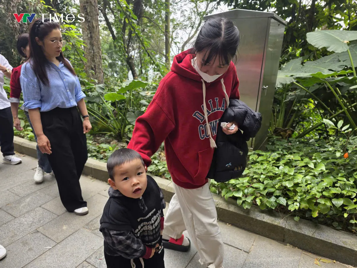 Phú Thọ: Ba vạn du khách hành hương về dâng hương Đền Hùng đầu năm Bính Ngọ - Ảnh 5.