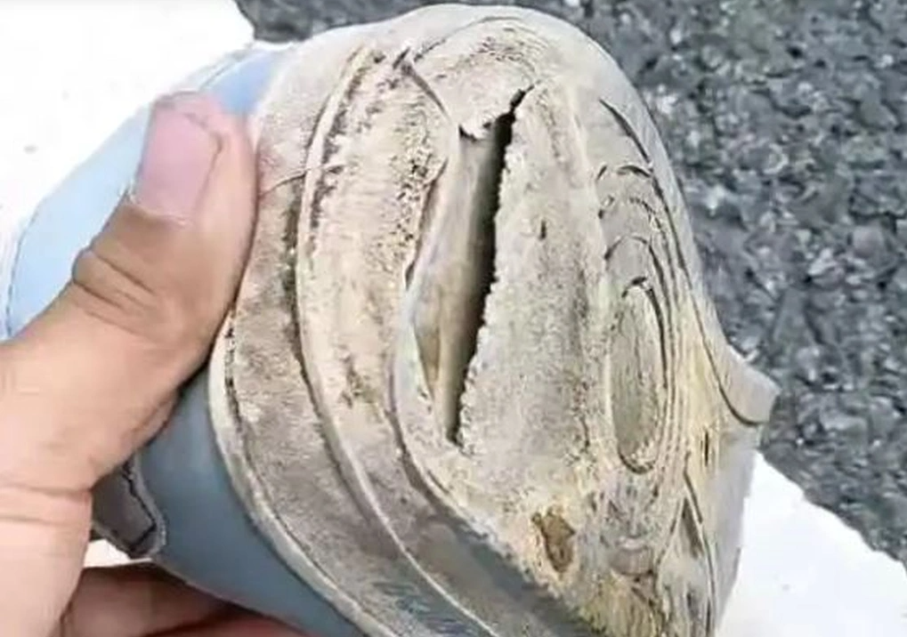 Đi bộ về quê: Hành trình 1 . 400 Km của nam thanh niên vượt khó để đón Tết 2026 - Ảnh 2.