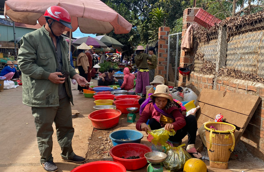 - Ảnh 1. - Ảnh 1.