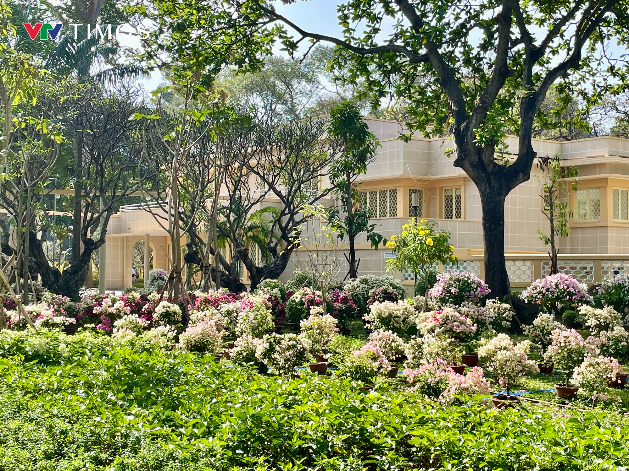 Du xuân ở những "khu đất vàng"- Ảnh 13.