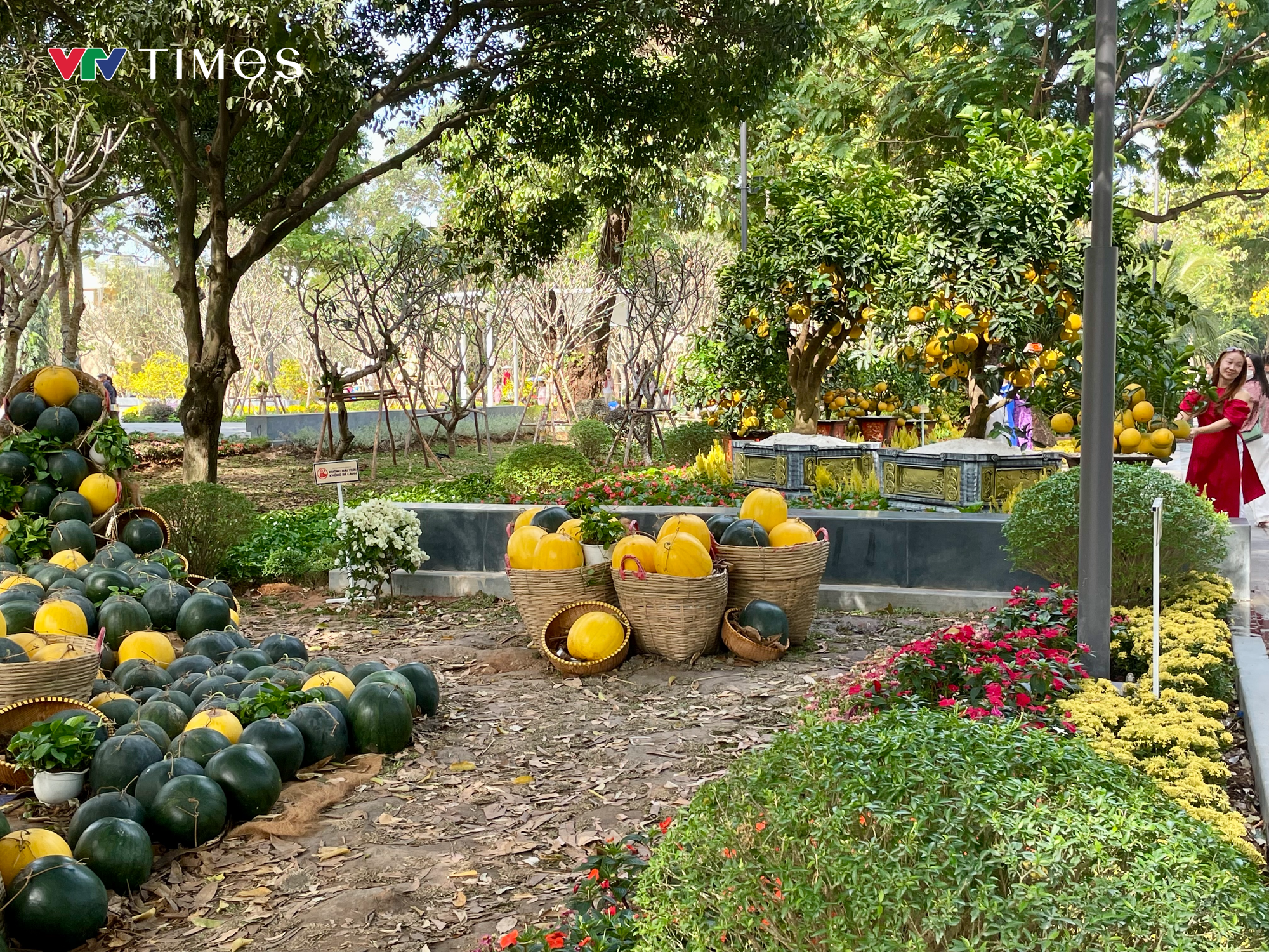 Du xuân ở những "khu đất vàng"- Ảnh 11.