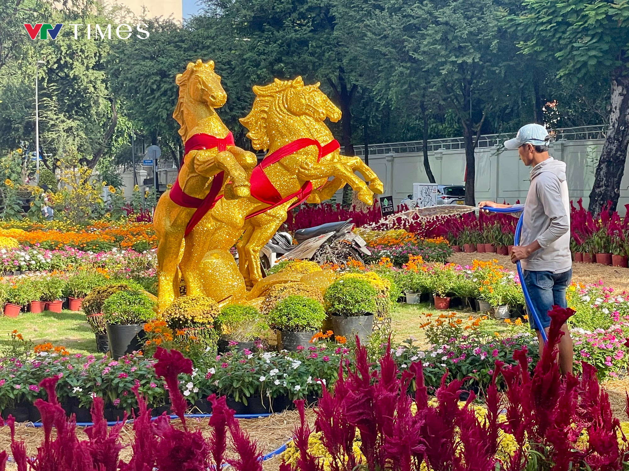 Du xuân ở những "khu đất vàng"- Ảnh 5.