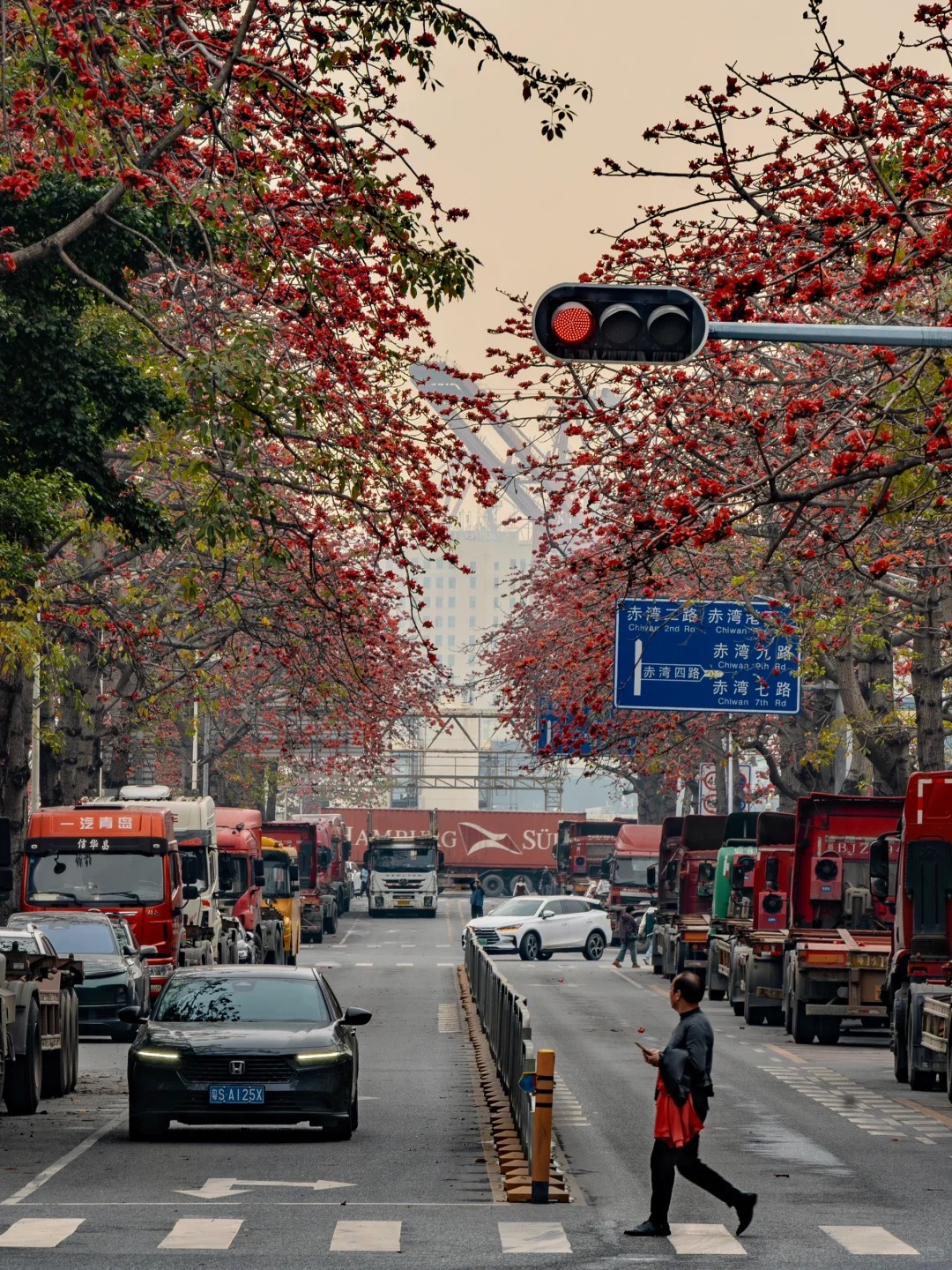 Vì sao hoa gạo không nên trồng sát nhà và cắm làm cảnh? - Ảnh 23.