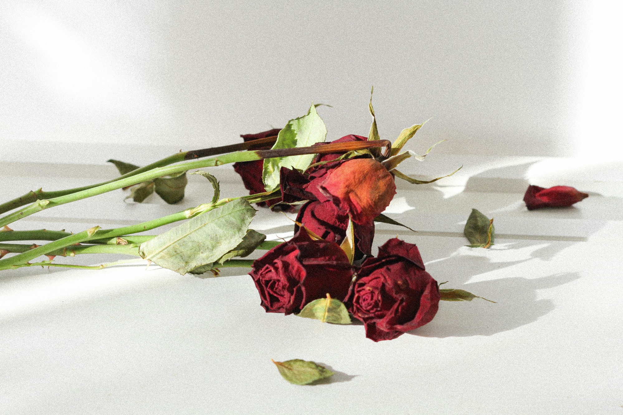 Qua mùng 7 Tết: 3 thứ trên bàn thờ nên thay ngay kẻo bề trên giận dữ, dễ xui cả năm  - Ảnh 1.