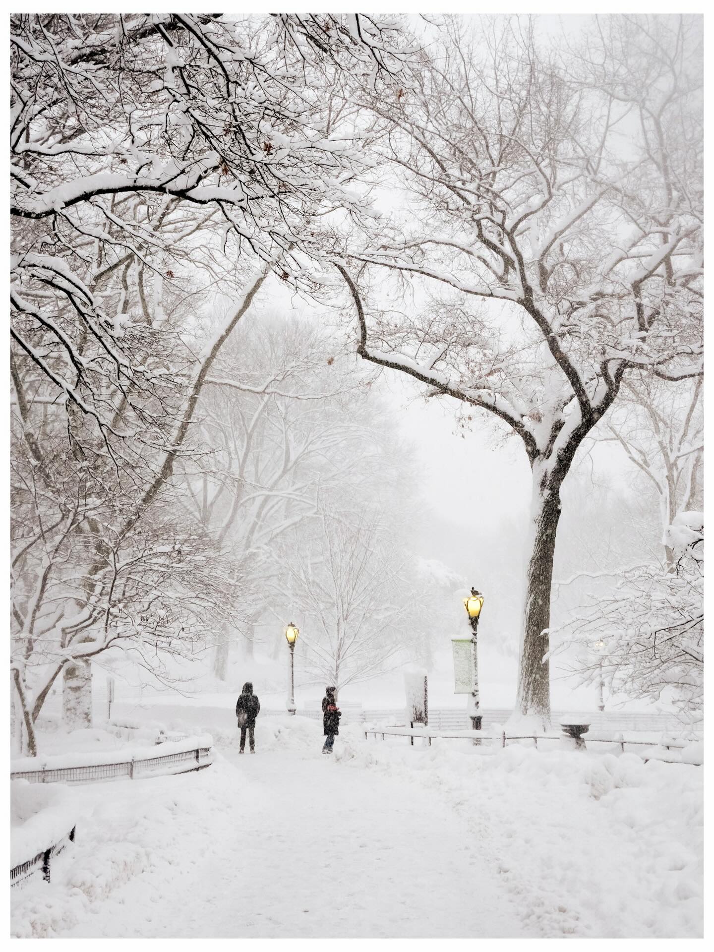 Vừa tỉnh dậy, New York đã hóa xứ tuyết, nhưng phía sau khung cảnh cổ tích này là gì? - Ảnh 4.