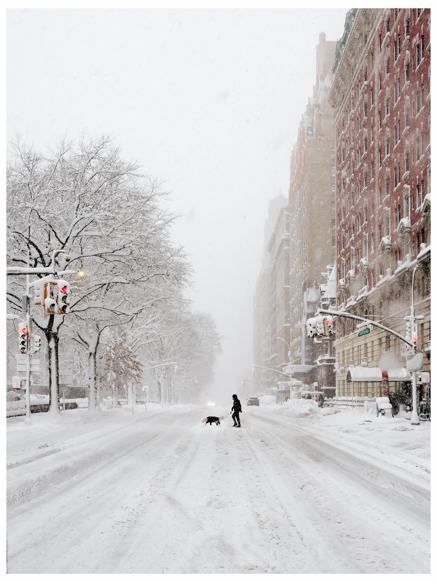 Vừa tỉnh dậy, New York đã hóa xứ tuyết, nhưng phía sau khung cảnh cổ tích này là gì? - Ảnh 1.