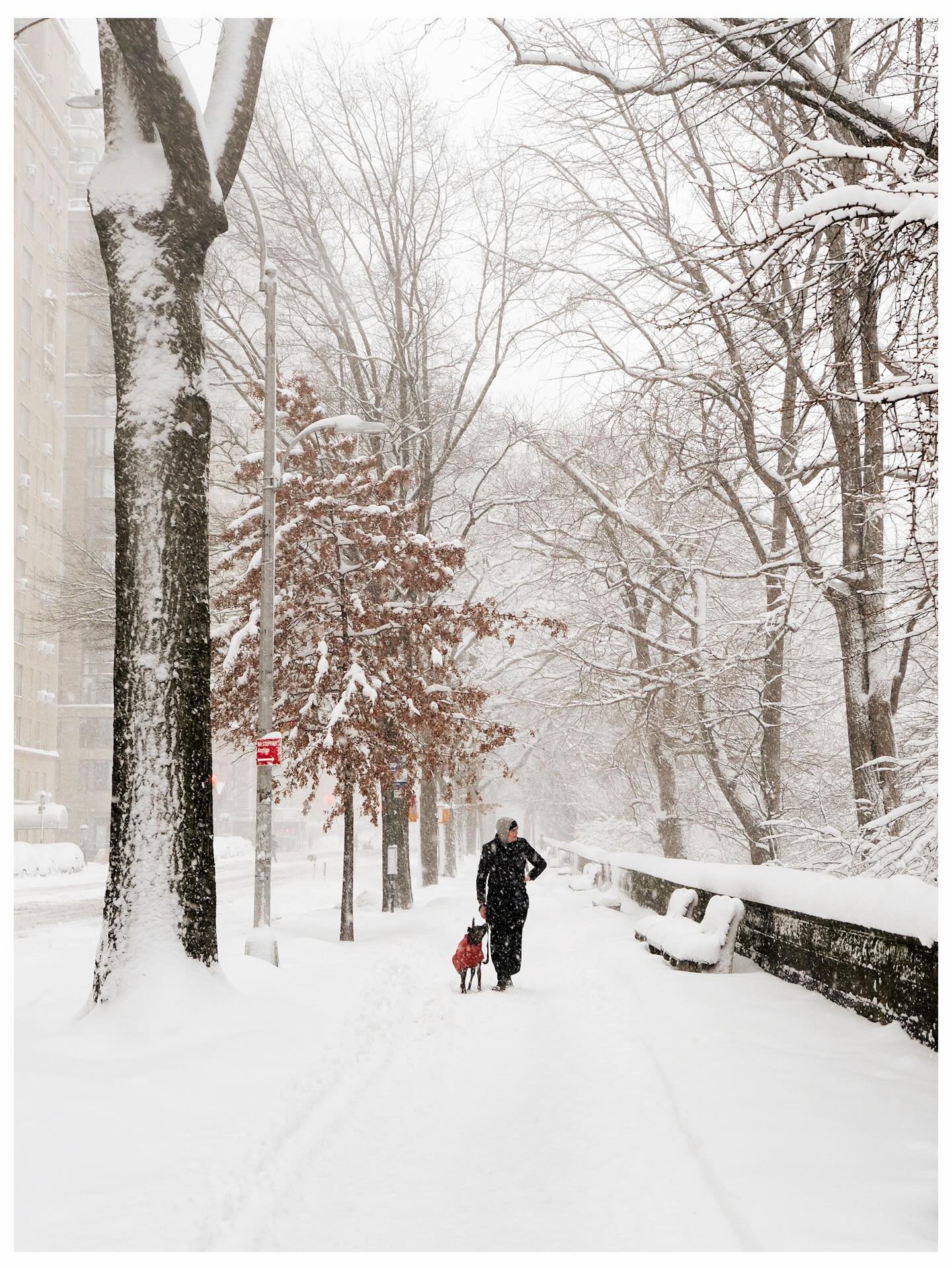 Vừa tỉnh dậy, New York đã hóa xứ tuyết, nhưng phía sau khung cảnh cổ tích này là gì? - Ảnh 2.