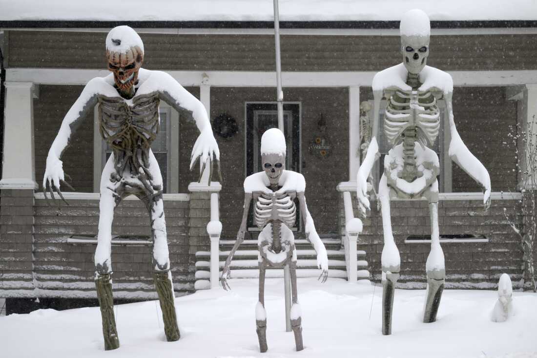 Vừa tỉnh dậy, New York đã hóa xứ tuyết, nhưng phía sau khung cảnh cổ tích này là gì? - Ảnh 6.