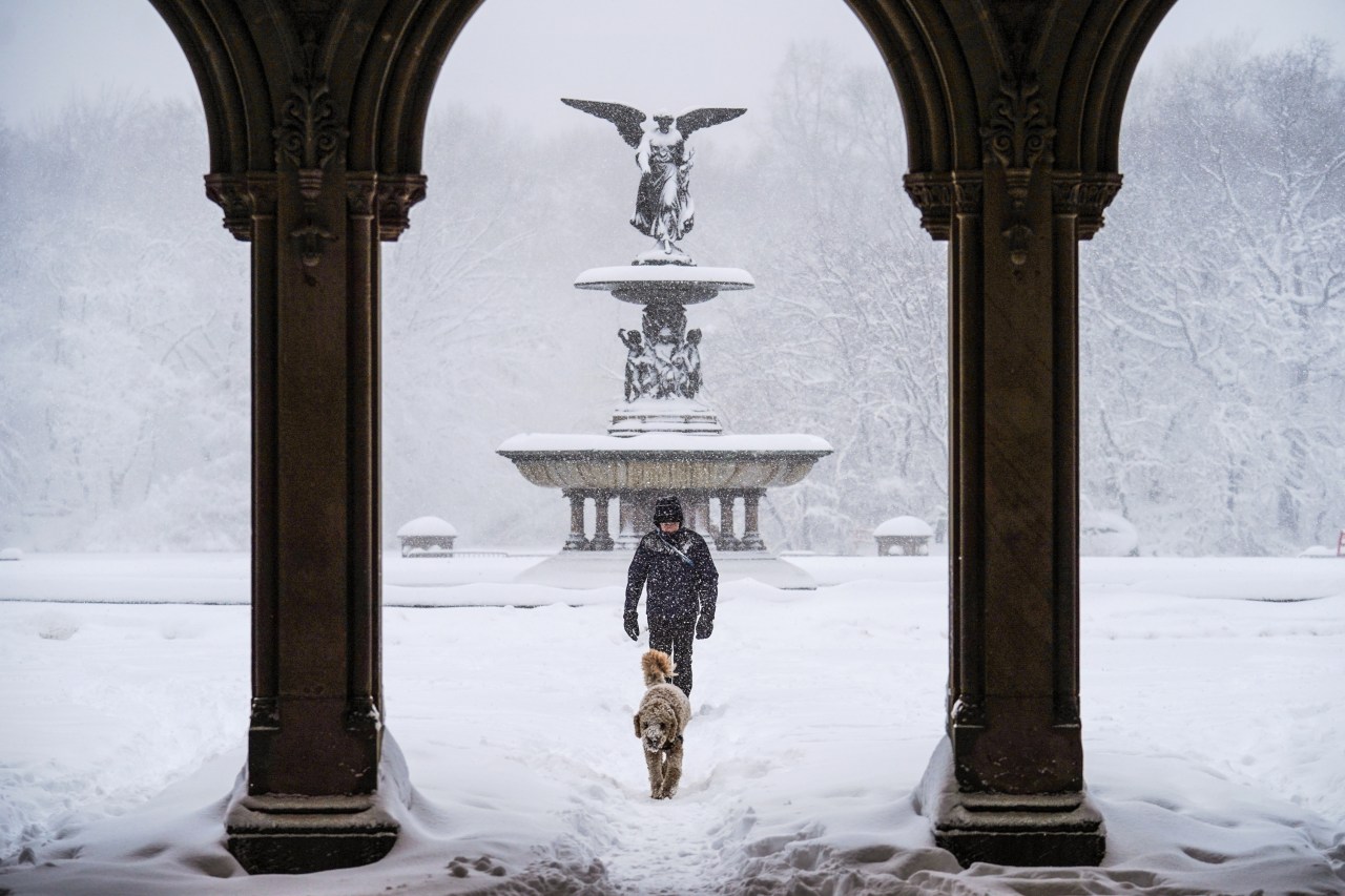 Vừa tỉnh dậy, New York đã hóa xứ tuyết, nhưng phía sau khung cảnh cổ tích này là gì? - Ảnh 20.