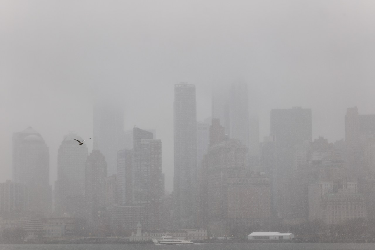 Vừa tỉnh dậy, New York đã hóa xứ tuyết, nhưng phía sau khung cảnh cổ tích này là gì? - Ảnh 23.