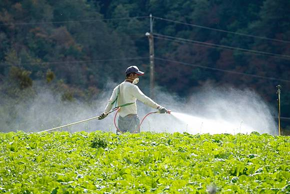Bác sĩ chuyên khoa ung thư cảnh báo 5 vật dụng "cho thêm tiền" cũng ĐỪNG để trong nhà - Ảnh 2.