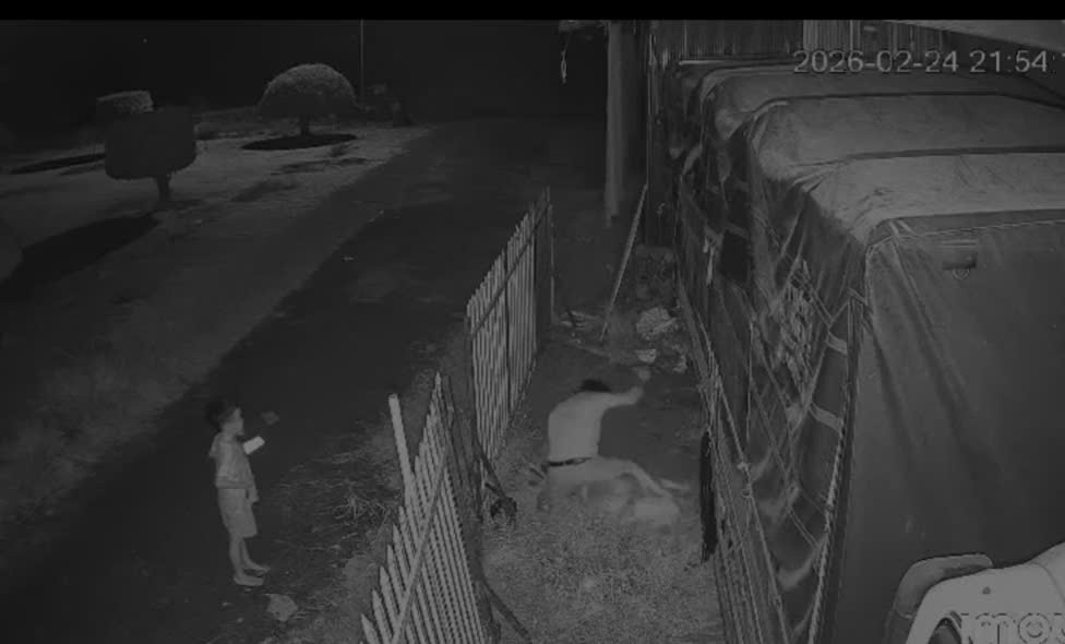 - Ảnh 1. - Ảnh 1.