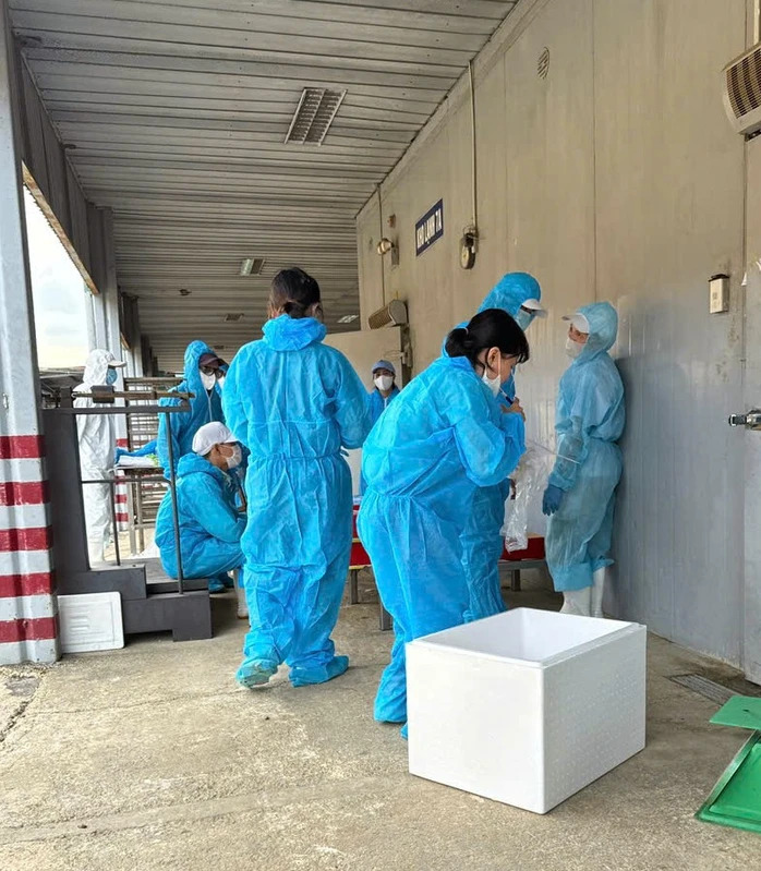 Công ty CP đồ hộp Hạ Long chưa xác định thời gian trở lại hoạt động sản xuất - Ảnh 2. Công ty CP đồ hộp Hạ Long chưa xác định thời gian trở lại hoạt động sản xuất - Ảnh 2.