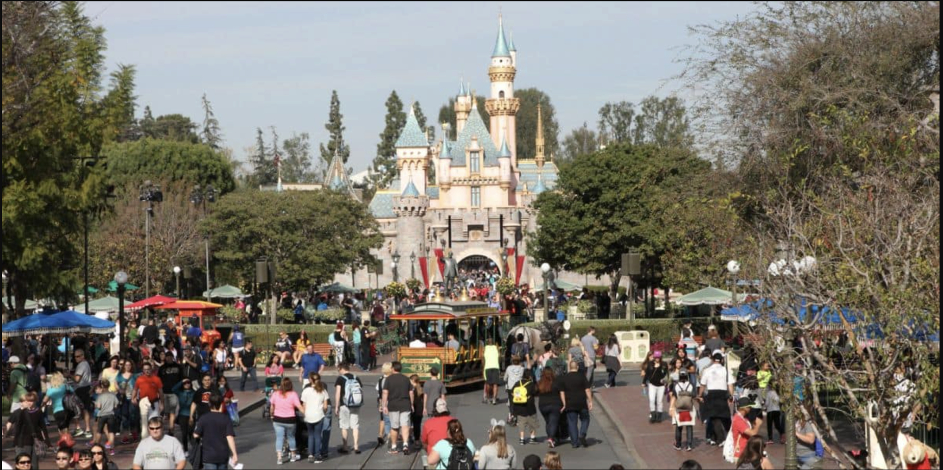 Dịch sởi tại Disneyland 2026 gây lo ngại , giới chức y tế phát cảnh báo khẩn cấp - Ảnh 1.