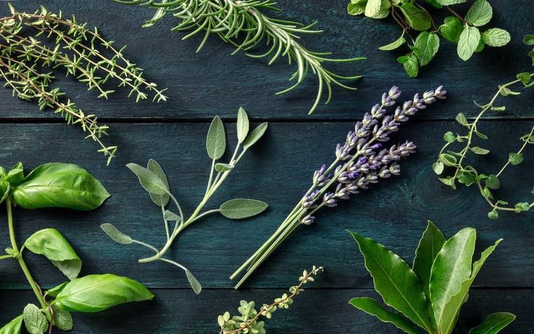 Top 5 loại cây thảo dược tốt nhất nên trồng trong năm Bính Ngọ - Ảnh 1.