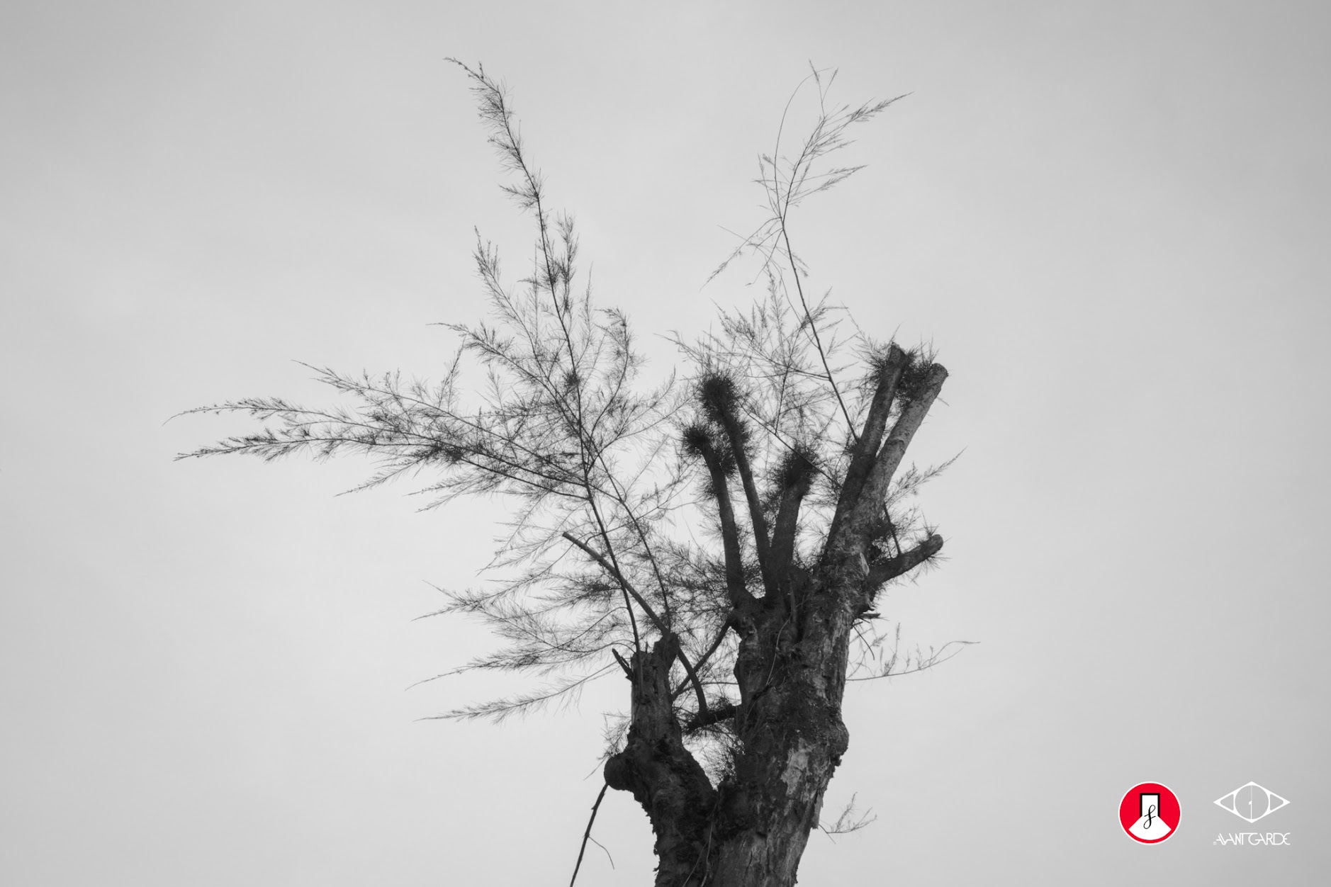 Lãng quên và cảm nhận: Triển lãm nhiếp ảnh “ LÃNG ” tại Noirfoto Gallery - Ảnh 5.