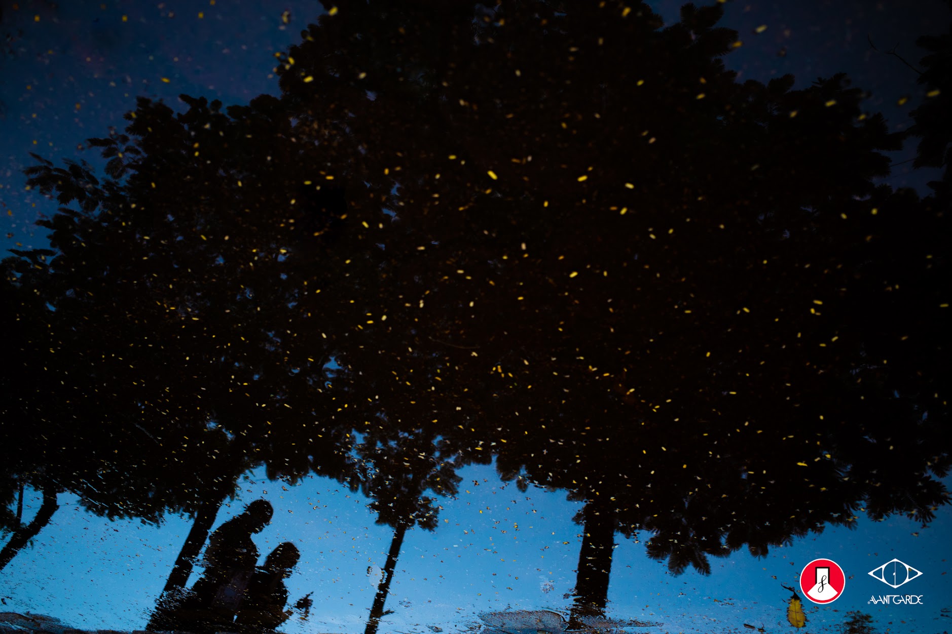 Lãng quên và cảm nhận: Triển lãm nhiếp ảnh “ LÃNG ” tại Noirfoto Gallery - Ảnh 6.