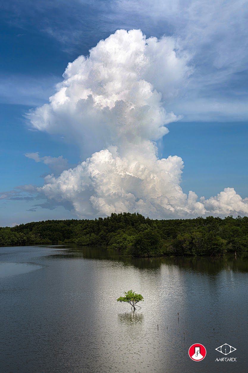 Lãng quên và cảm nhận: Triển lãm nhiếp ảnh “ LÃNG ” tại Noirfoto Gallery - Ảnh 10.
