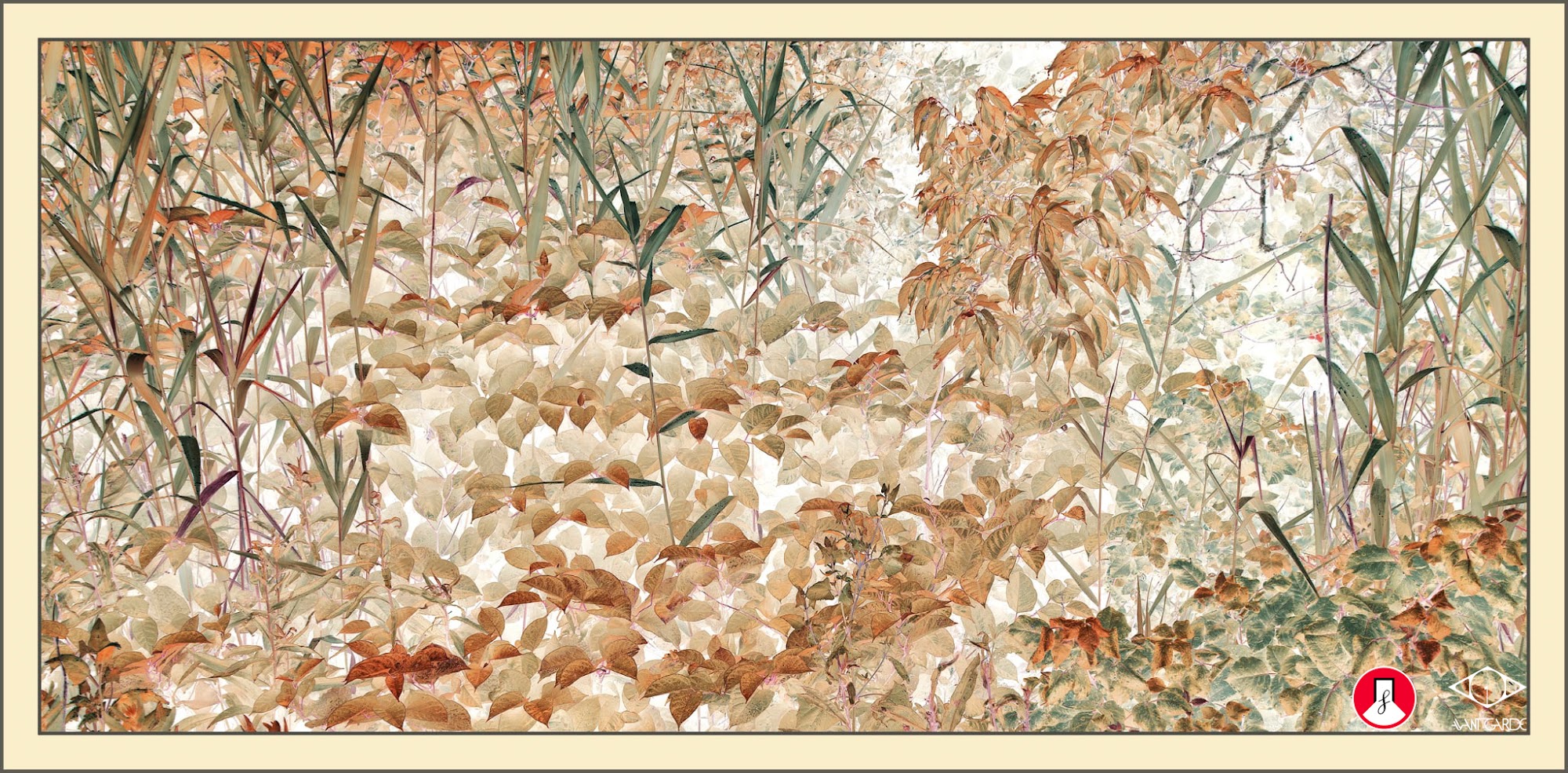 Lãng quên và cảm nhận: Triển lãm nhiếp ảnh “ LÃNG ” tại Noirfoto Gallery - Ảnh 8.