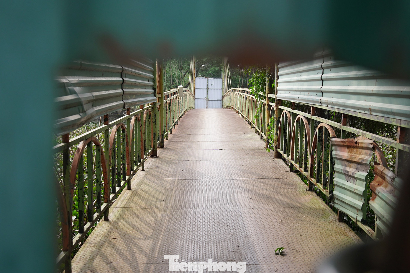 Khu sinh thái Vĩnh Hưng 15ha bỏ hoang thành bãi rác và sân pickleball - Ảnh 10. Khu sinh thái Vĩnh Hưng 15ha bỏ hoang thành bãi rác và sân pickleball - Ảnh 10.