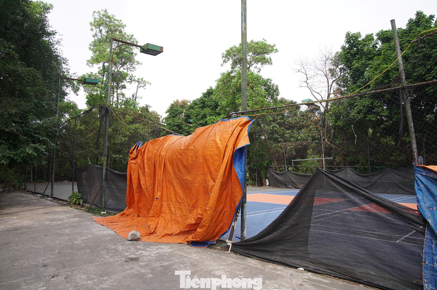 Khu sinh thái Vĩnh Hưng 15ha bỏ hoang thành bãi rác và sân pickleball - Ảnh 6. Khu sinh thái Vĩnh Hưng 15ha bỏ hoang thành bãi rác và sân pickleball - Ảnh 6.