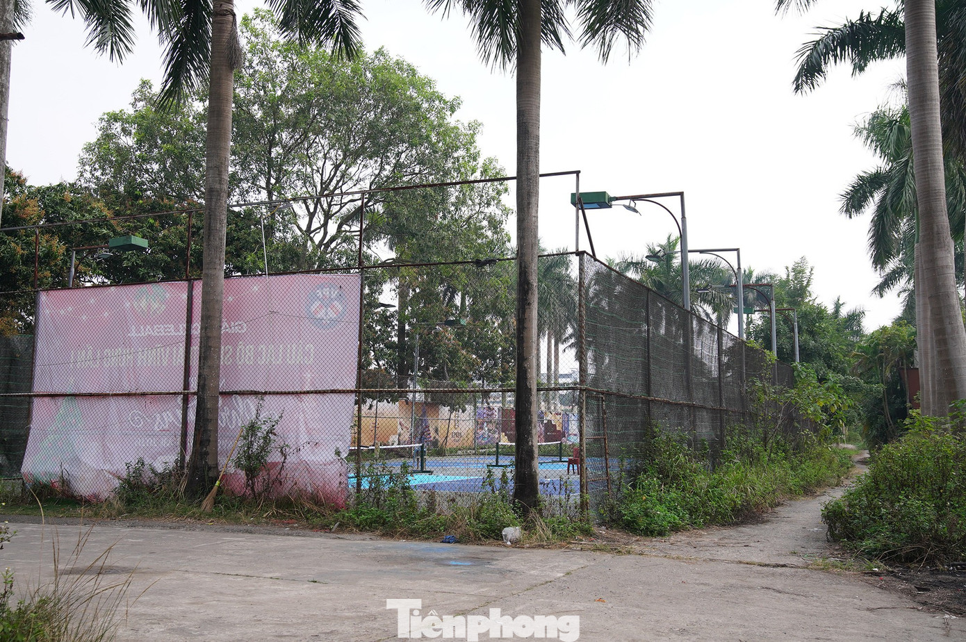 Khu sinh thái Vĩnh Hưng 15ha bỏ hoang thành bãi rác và sân pickleball - Ảnh 7. Khu sinh thái Vĩnh Hưng 15ha bỏ hoang thành bãi rác và sân pickleball - Ảnh 7.