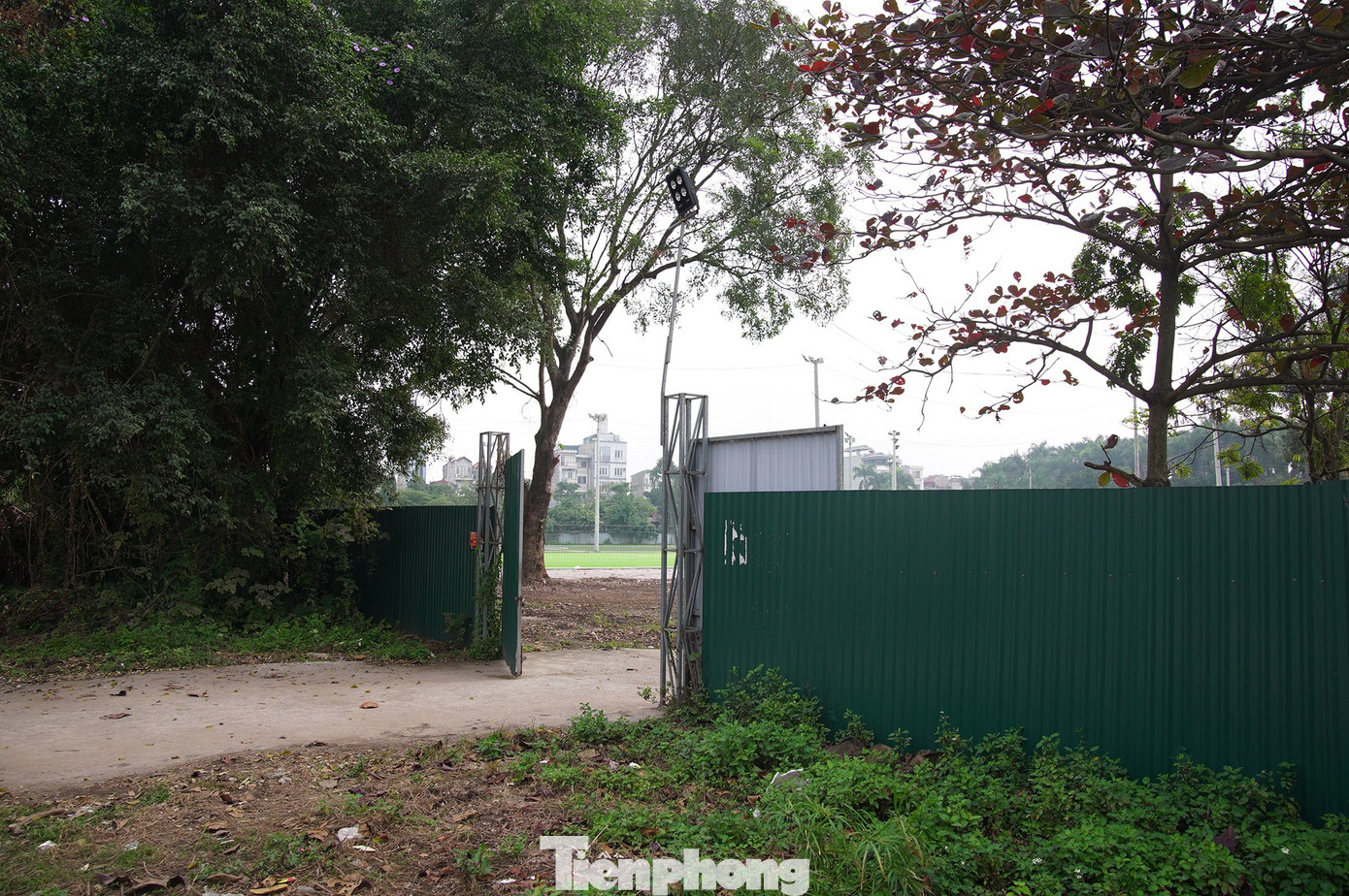 Khu sinh thái Vĩnh Hưng 15ha bỏ hoang thành bãi rác và sân pickleball - Ảnh 8. Khu sinh thái Vĩnh Hưng 15ha bỏ hoang thành bãi rác và sân pickleball - Ảnh 8.