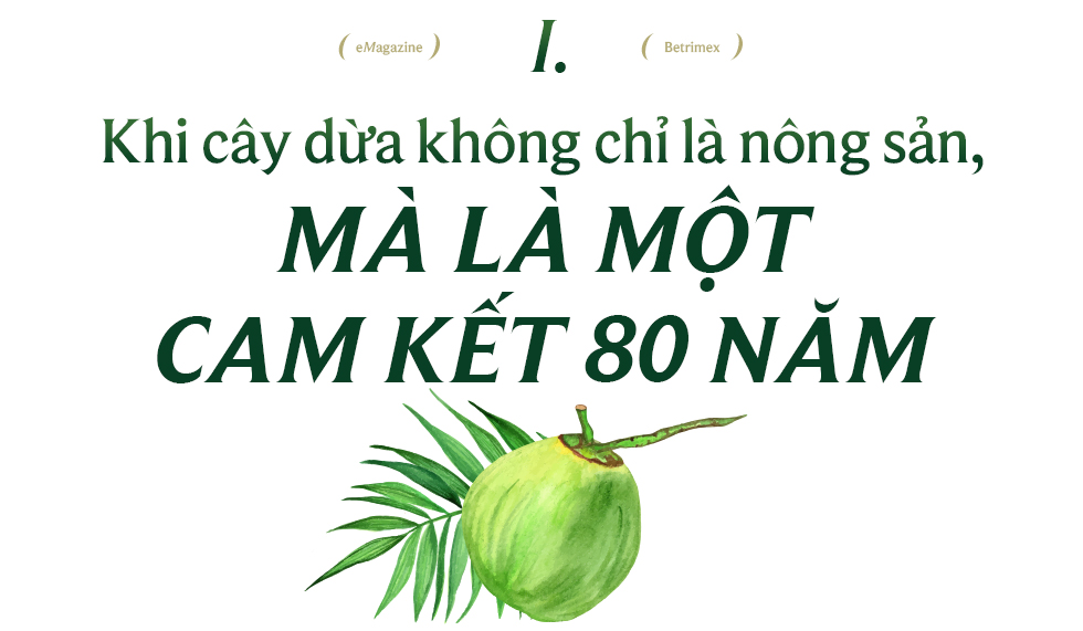 Betrimex và hành trình tái sinh vườn dừa: “Cùng 13.000 nông dân, chúng tôi đang tiến vào cửa thắng của nông nghiệp Việt” - Ảnh 1. Betrimex và hành trình tái sinh vườn dừa: “Cùng 13.000 nông dân, chúng tôi đang tiến vào cửa thắng của nông nghiệp Việt” - Ảnh 1.