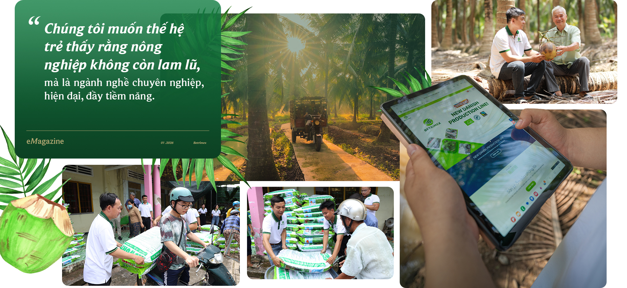 Betrimex và hành trình tái sinh vườn dừa: “Cùng 13.000 nông dân, chúng tôi đang tiến vào cửa thắng của nông nghiệp Việt” - Ảnh 8. Betrimex và hành trình tái sinh vườn dừa: “Cùng 13.000 nông dân, chúng tôi đang tiến vào cửa thắng của nông nghiệp Việt” - Ảnh 8.