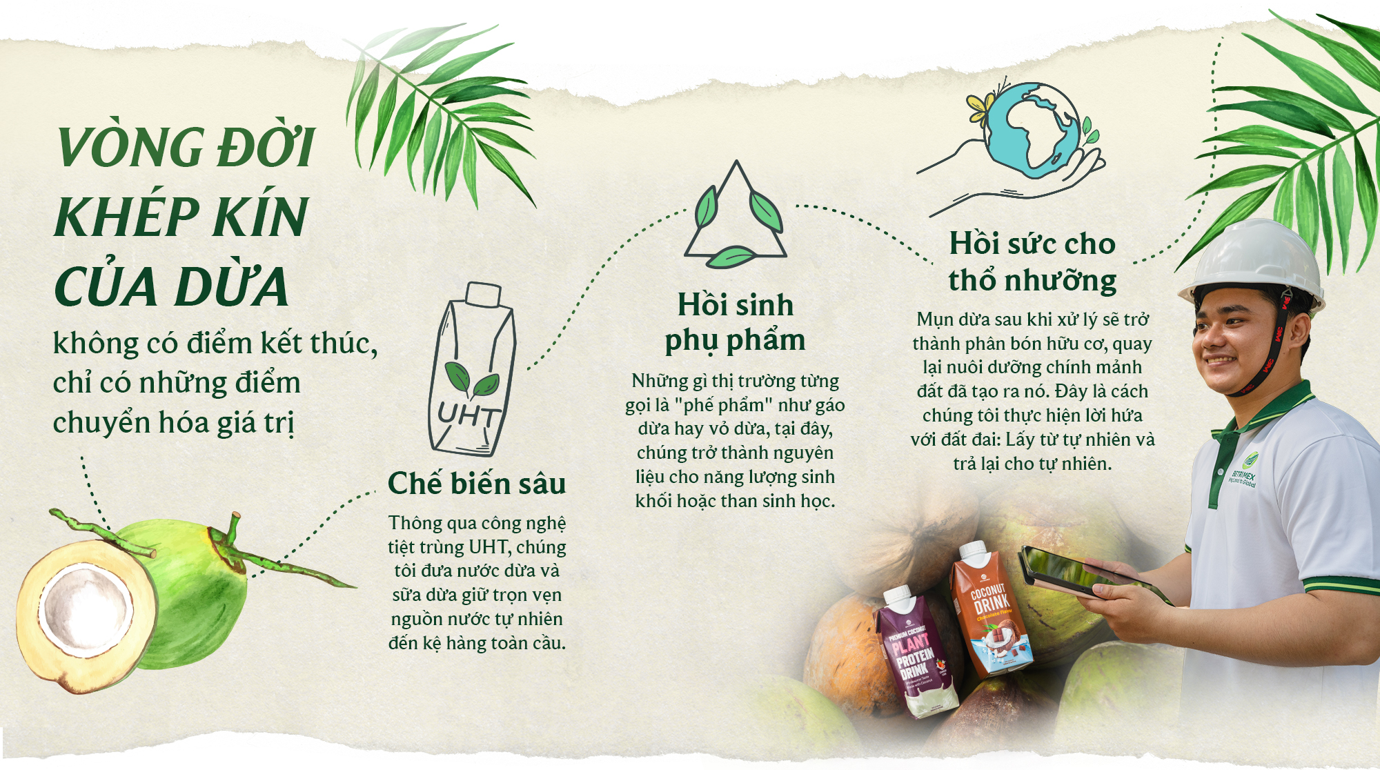 Betrimex và hành trình tái sinh vườn dừa: “Cùng 13.000 nông dân, chúng tôi đang tiến vào cửa thắng của nông nghiệp Việt” - Ảnh 5. Betrimex và hành trình tái sinh vườn dừa: “Cùng 13.000 nông dân, chúng tôi đang tiến vào cửa thắng của nông nghiệp Việt” - Ảnh 5.