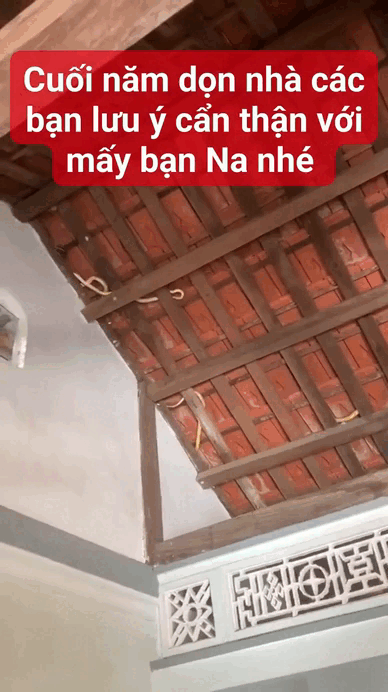 Dọn nhà đón Tết, gia chủ "lạnh sống lưng" khi nhìn thấy cảnh tượng trên mái nhà: Có thể là ám ảnh tới già - Ảnh 2.