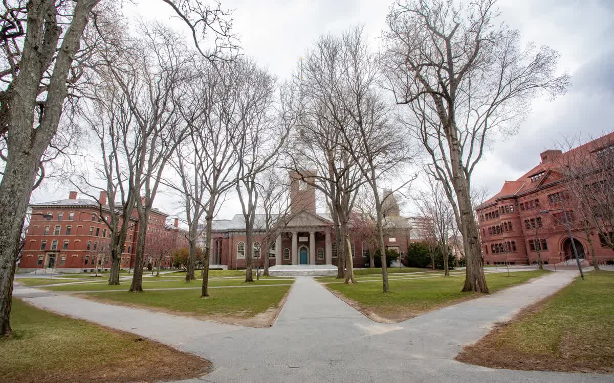 Lầu Năm Góc chấm dứt toàn bộ chương trình đào tạo với Đại học Harvard - Ảnh 1.