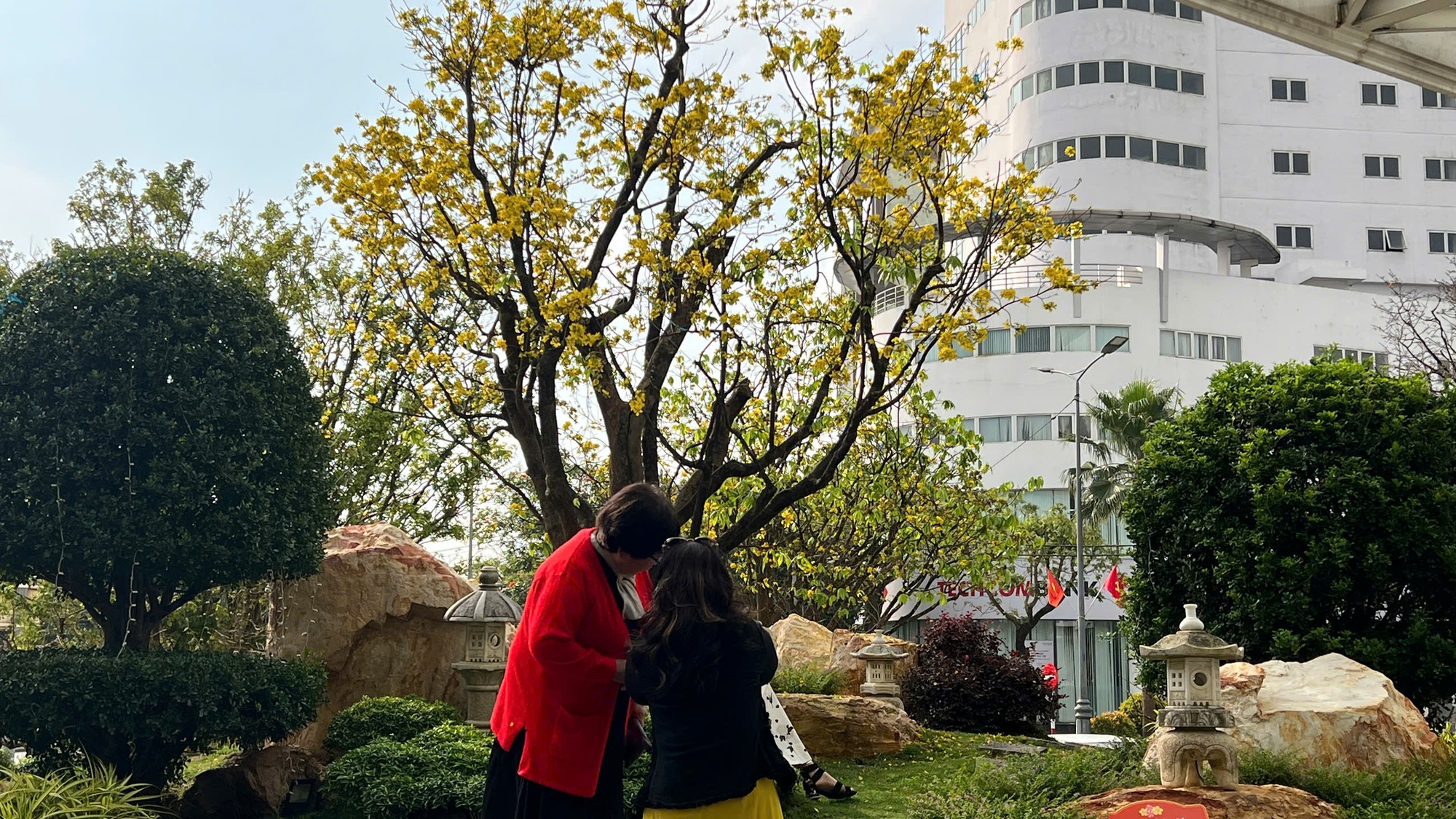 Ngỡ ngàng phố mai vàng ở giao lộ sầm uất bậc nhất xứ Huế - Ảnh 11.