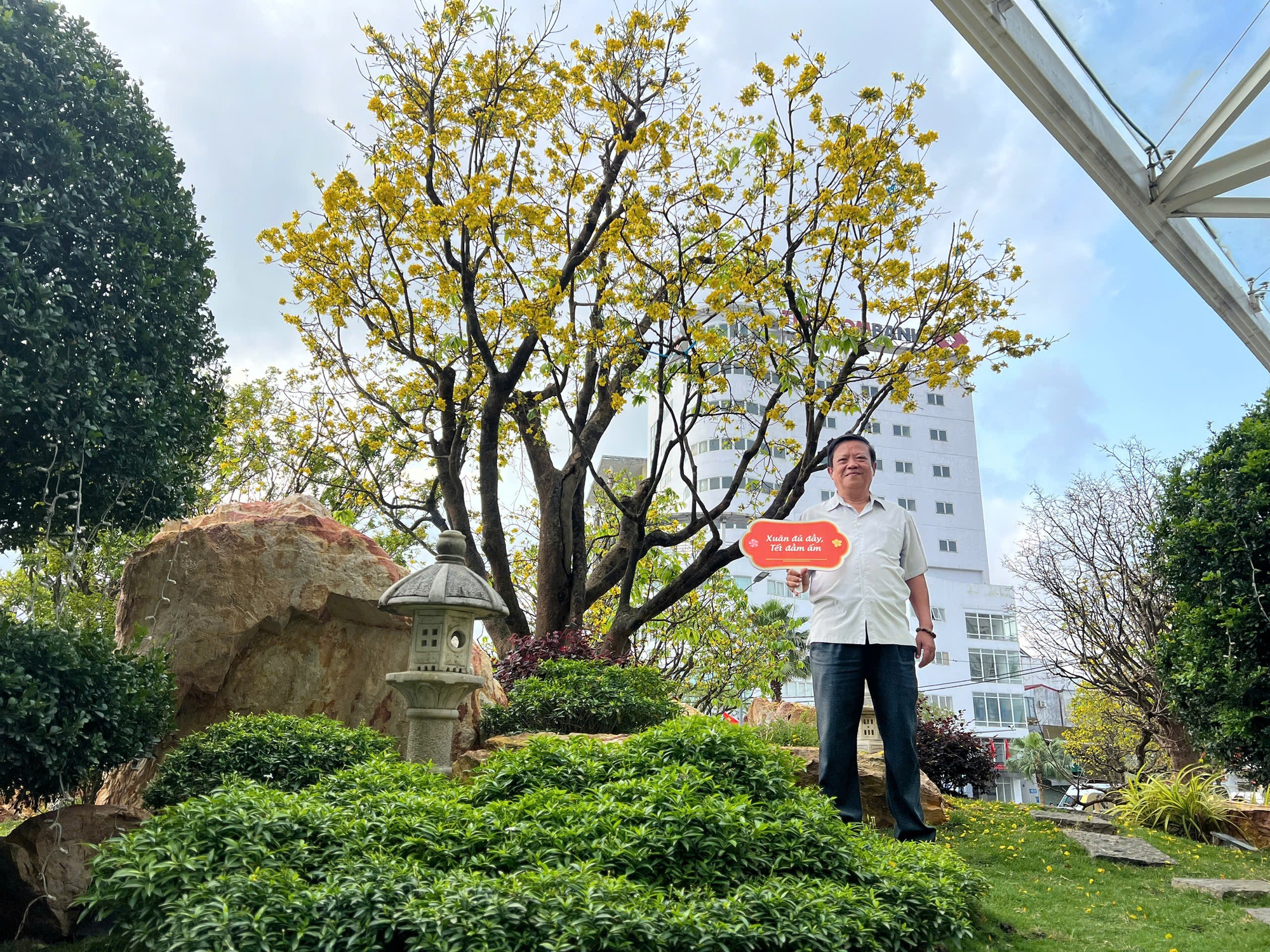 Ngỡ ngàng phố mai vàng ở giao lộ sầm uất bậc nhất xứ Huế - Ảnh 9.