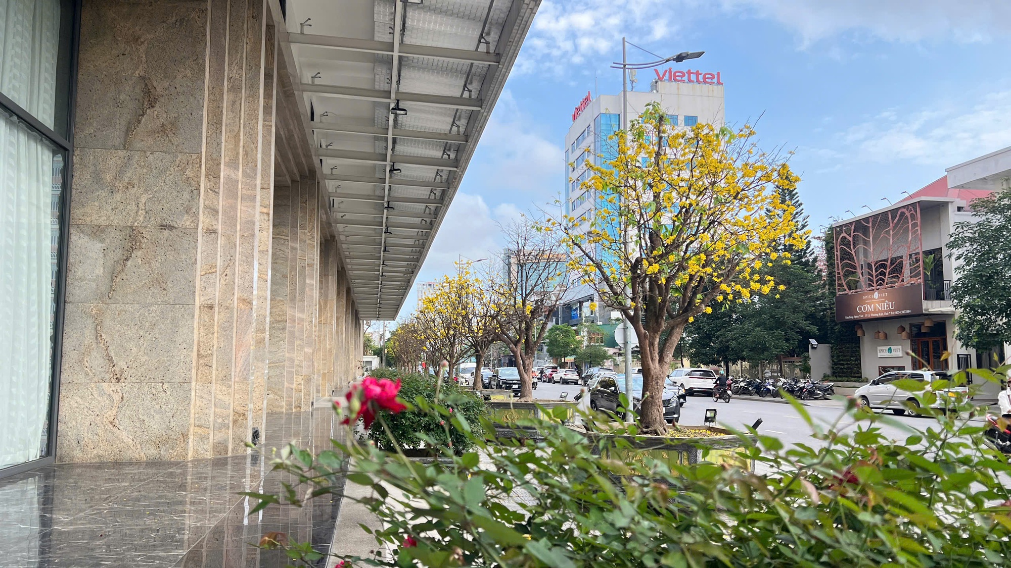 Ngỡ ngàng phố mai vàng ở giao lộ sầm uất bậc nhất xứ Huế - Ảnh 1.