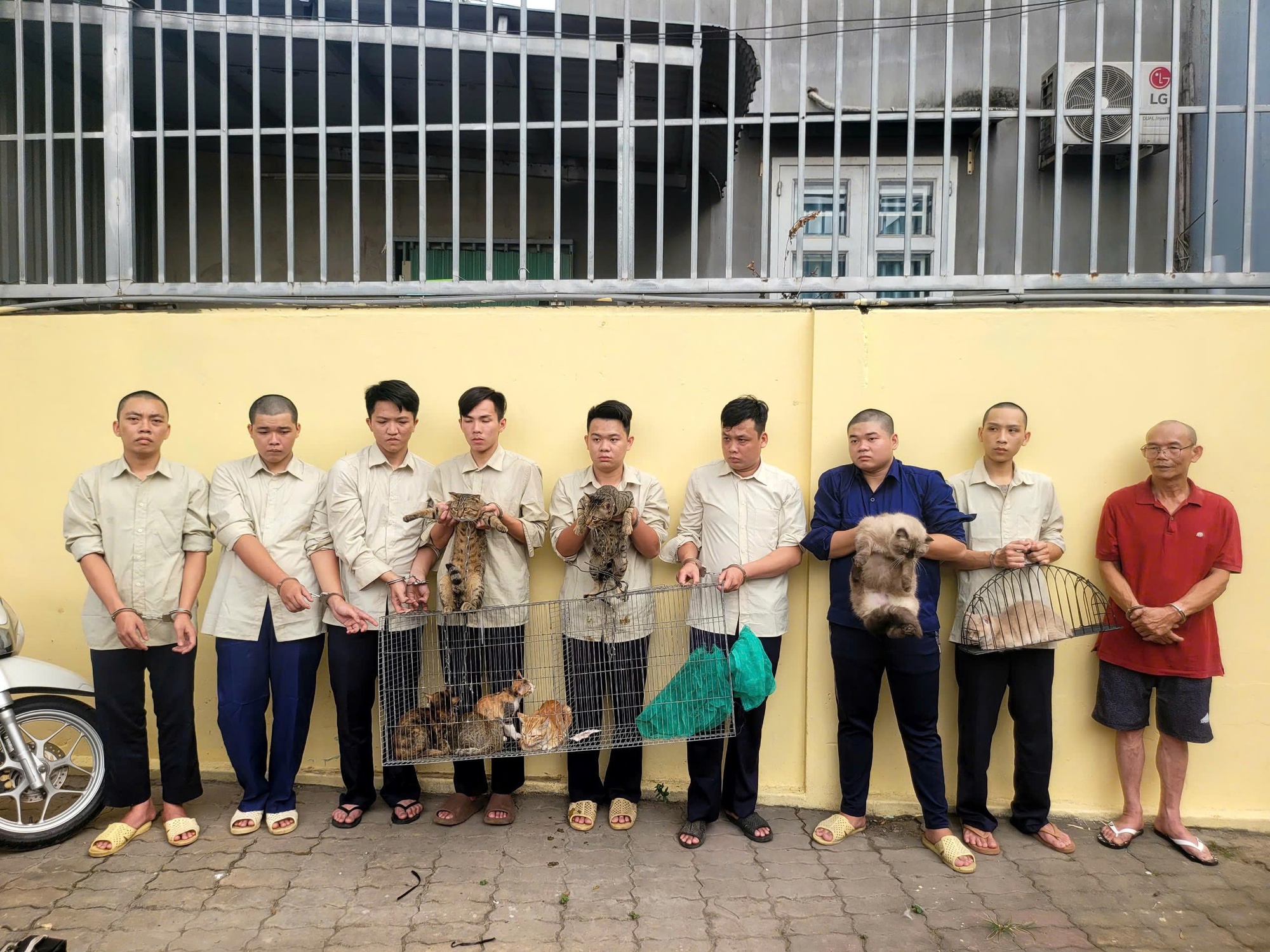 Công an TPHCM bắt nhóm trộm mèo , điều tra vụ án nghiêm trọng năm 2026 - Ảnh 1.