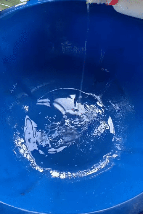 Công thức lau nhà đơn giản giúp sàn bóng loáng và thơm ngát đón Tết 2026