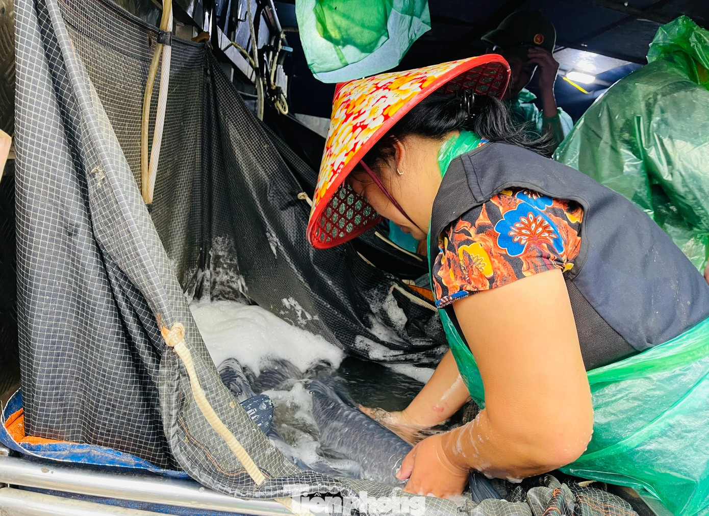 Cá chép tiễn ông Công ông Táo 2026: Giá giảm , chợ Yên Sở vắng tanh