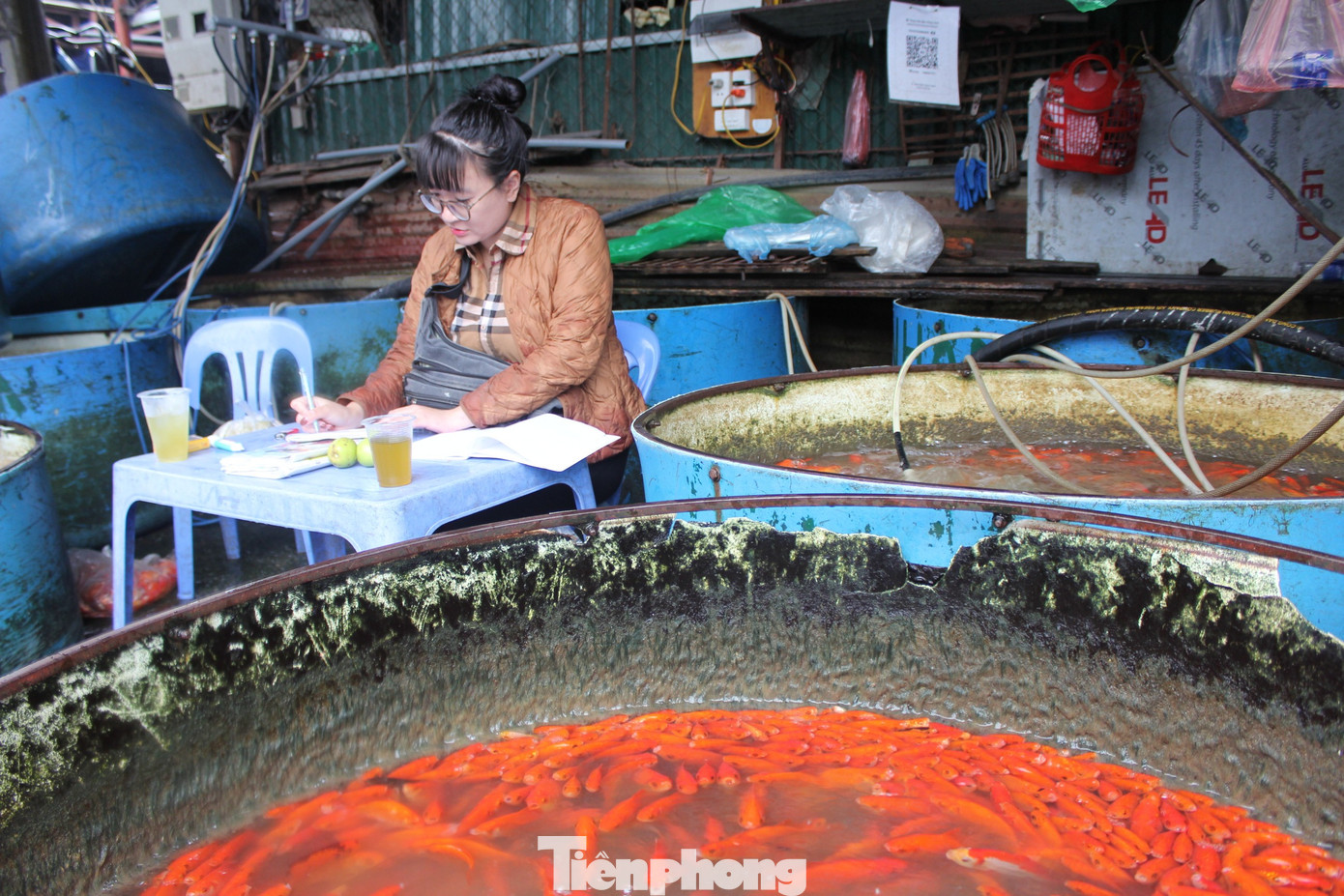 Cá chép tiễn ông Công ông Táo 2026: Giá giảm , chợ Yên Sở vắng tanh