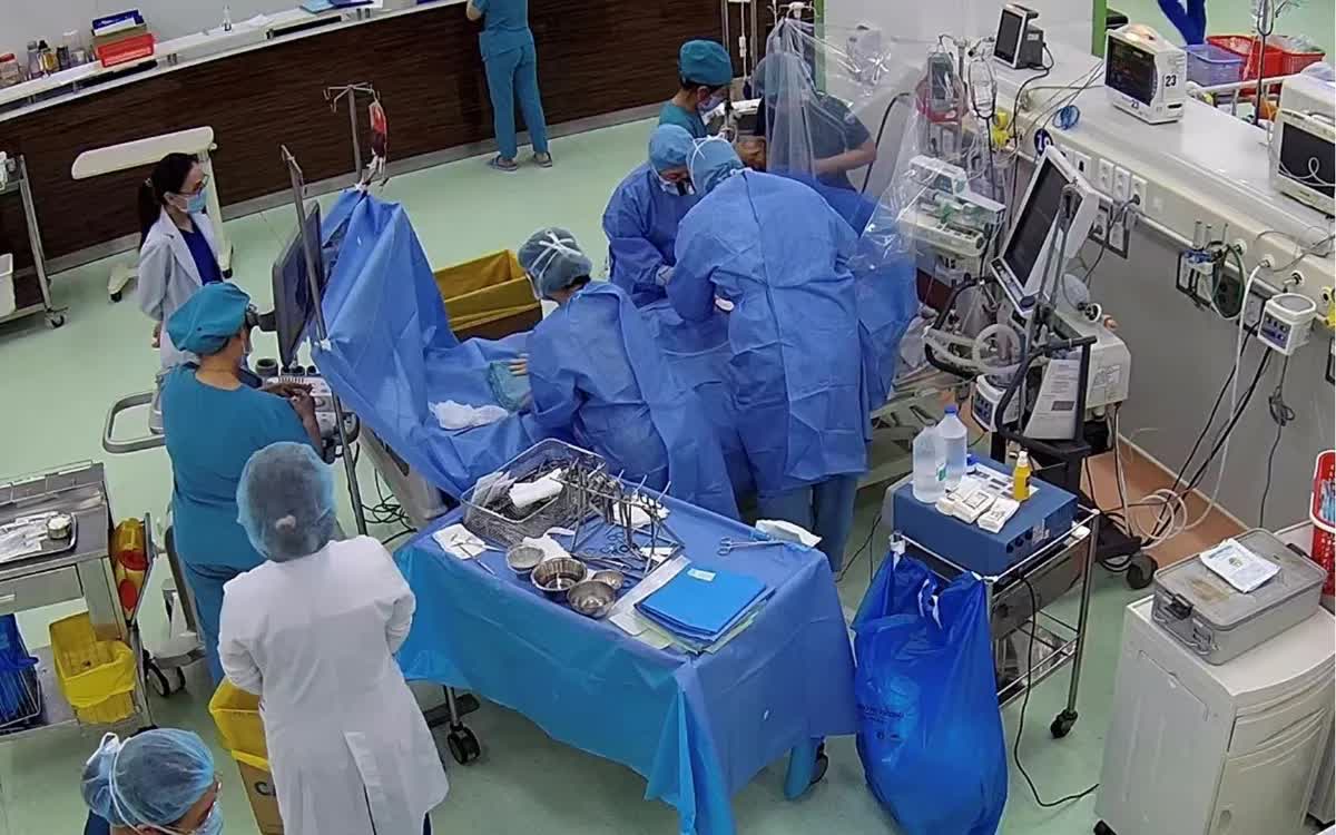 Hồi sinh kỳ diệu bệnh nhi ngưng tim do viêm cơ tim cấp tính tại Bệnh viện Nhi đồng 1 - Ảnh 1.